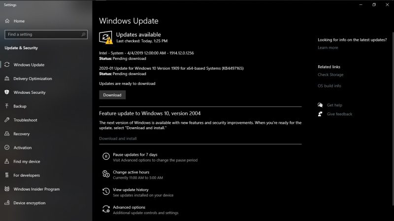 Dev Error Windows update 